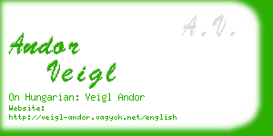 andor veigl business card